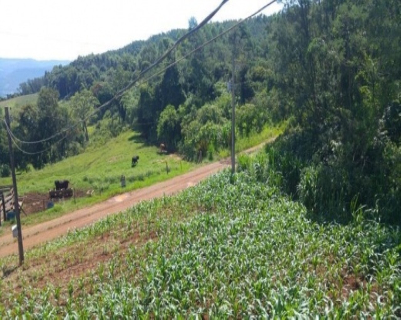 SITIO RURAL em Nova Petrópolis - RS, Santa Inês