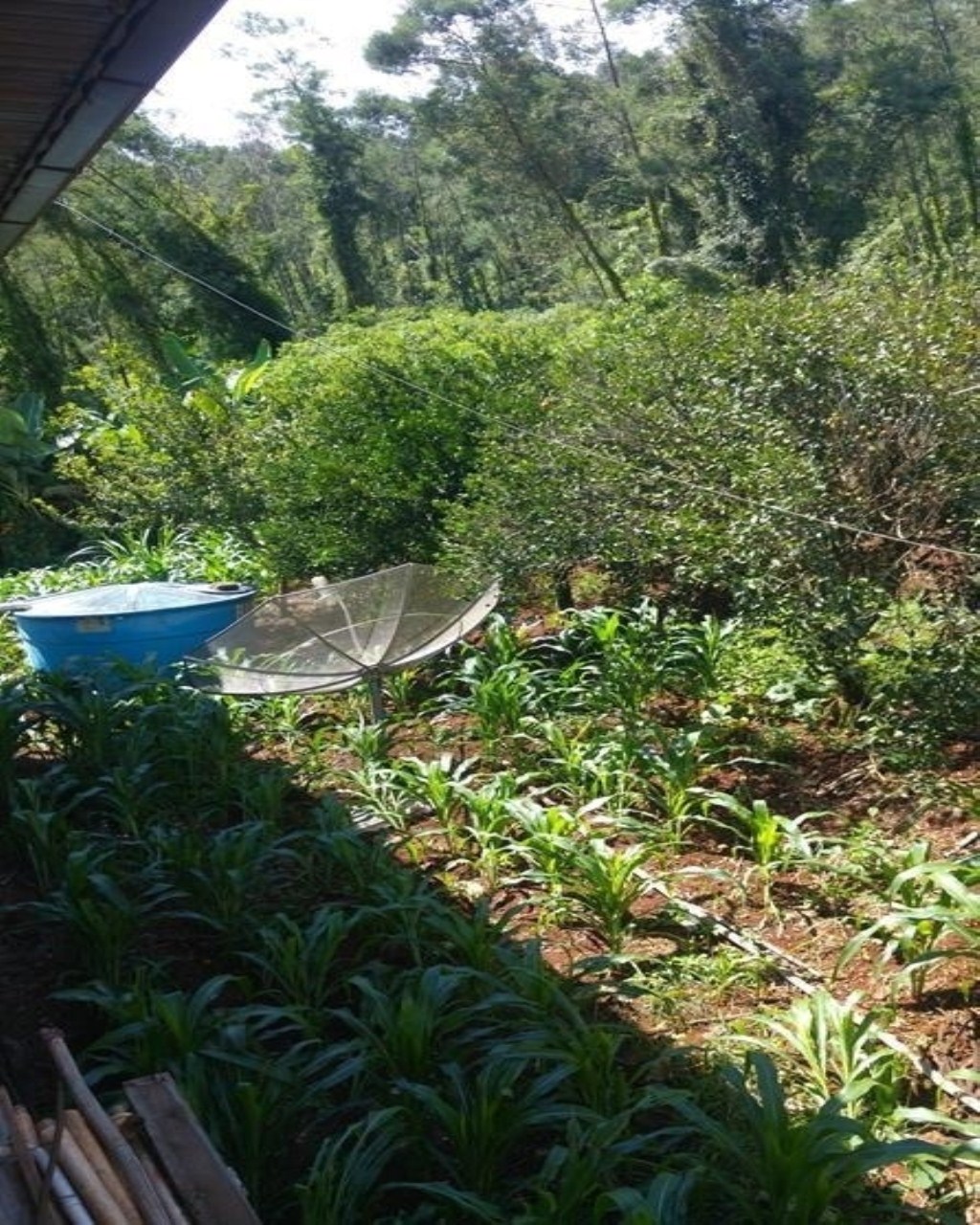 SITIO RURAL em Nova Petrópolis - RS, Santa Inês