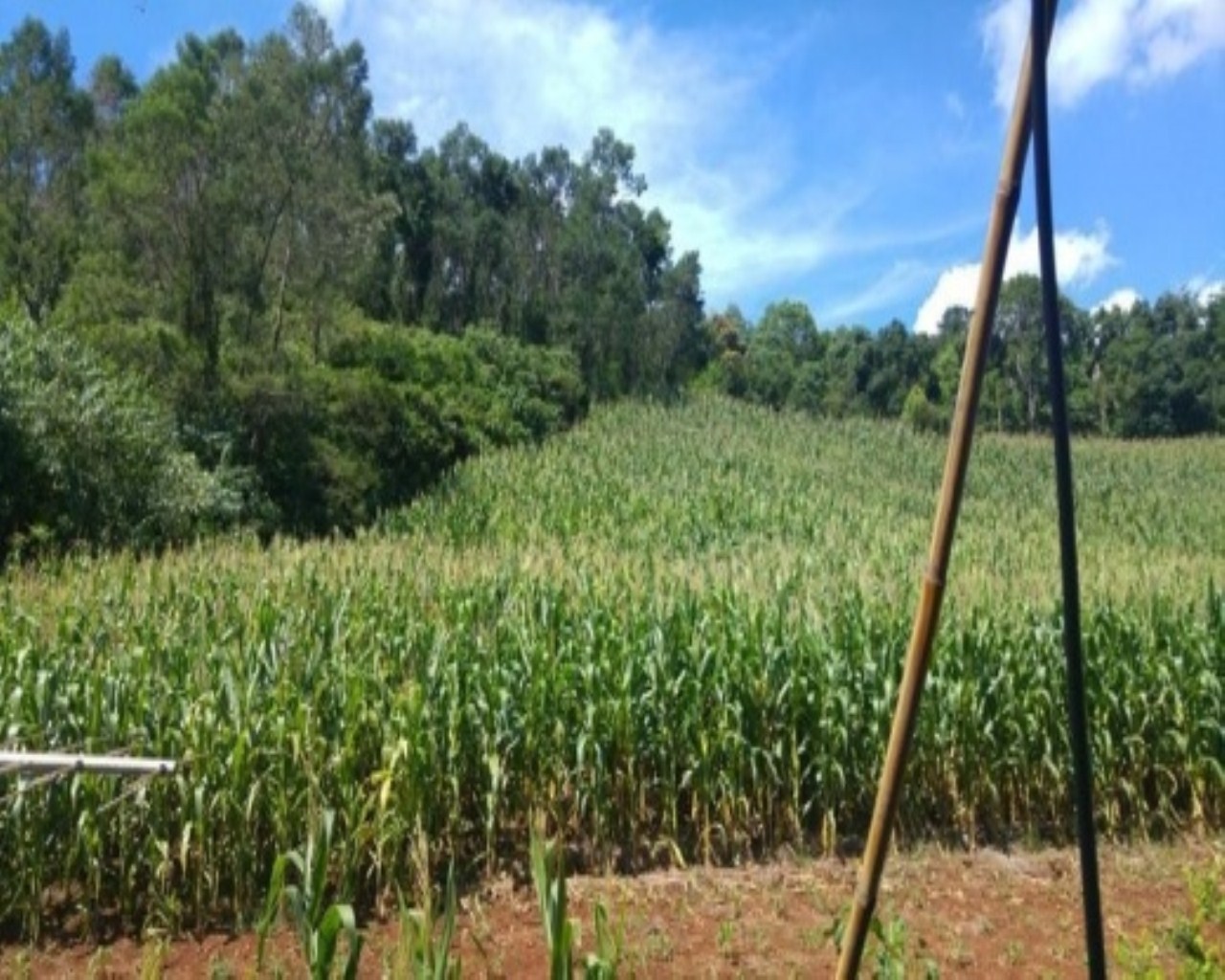 SITIO RURAL em Nova Petrópolis - RS, Santa Inês