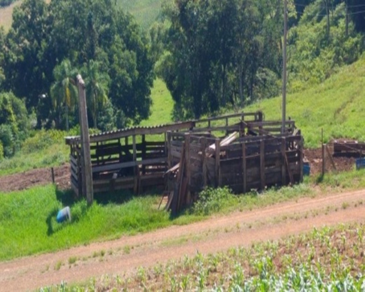 SITIO RURAL em Nova Petrópolis - RS, Santa Inês