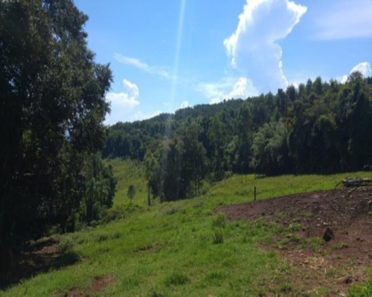 SITIO RURAL em Nova Petrópolis - RS, Santa Inês