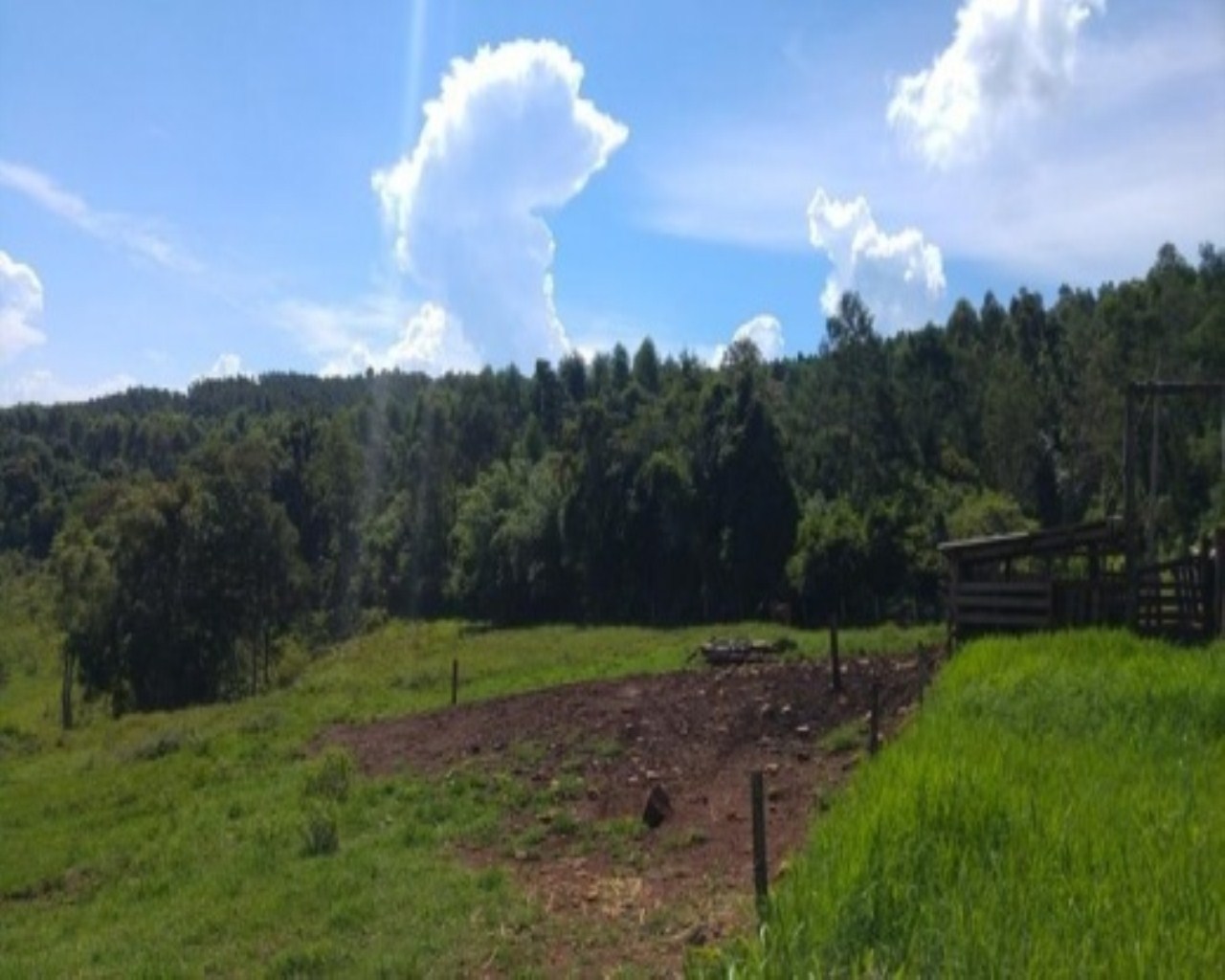 SITIO RURAL em Nova Petrópolis - RS, Santa Inês