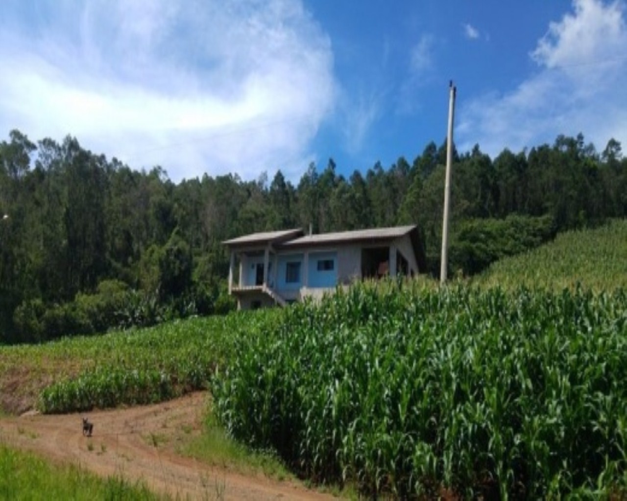 SITIO RURAL em Nova Petrópolis - RS, Santa Inês