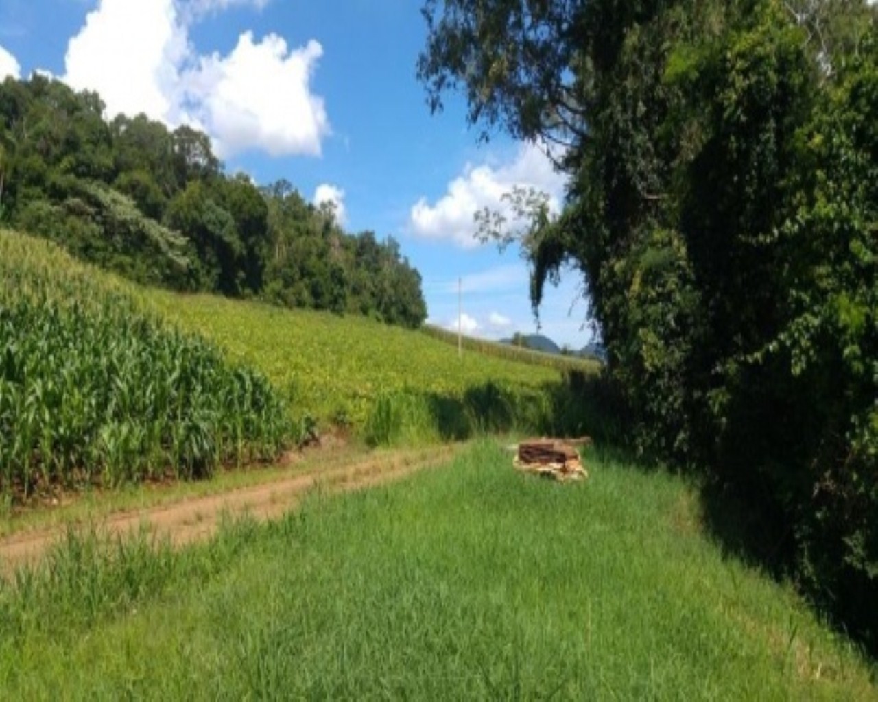 SITIO RURAL em Nova Petrópolis - RS, Santa Inês