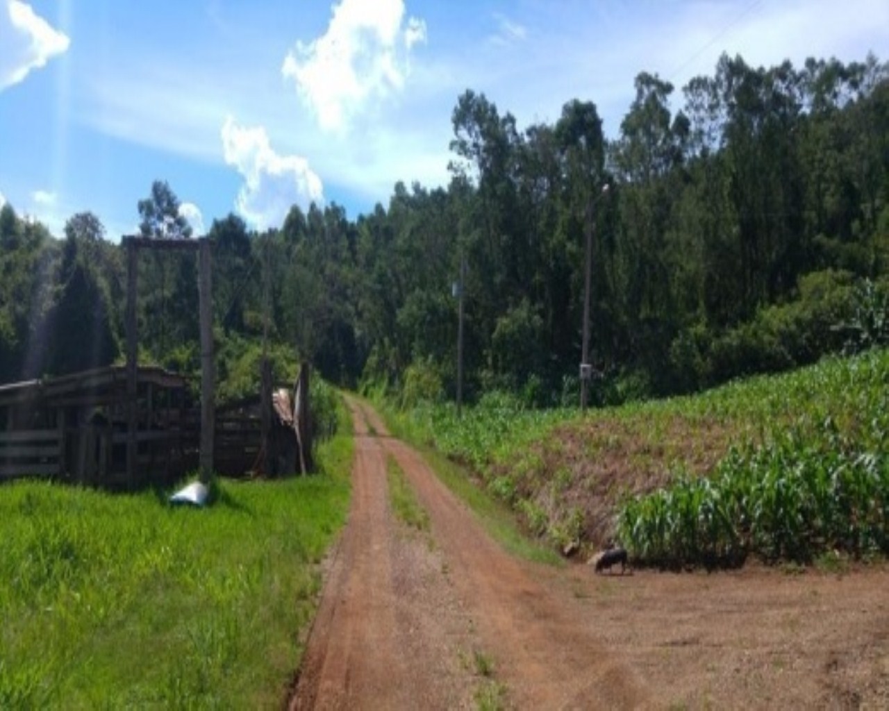 SITIO RURAL em Nova Petrópolis - RS, Santa Inês