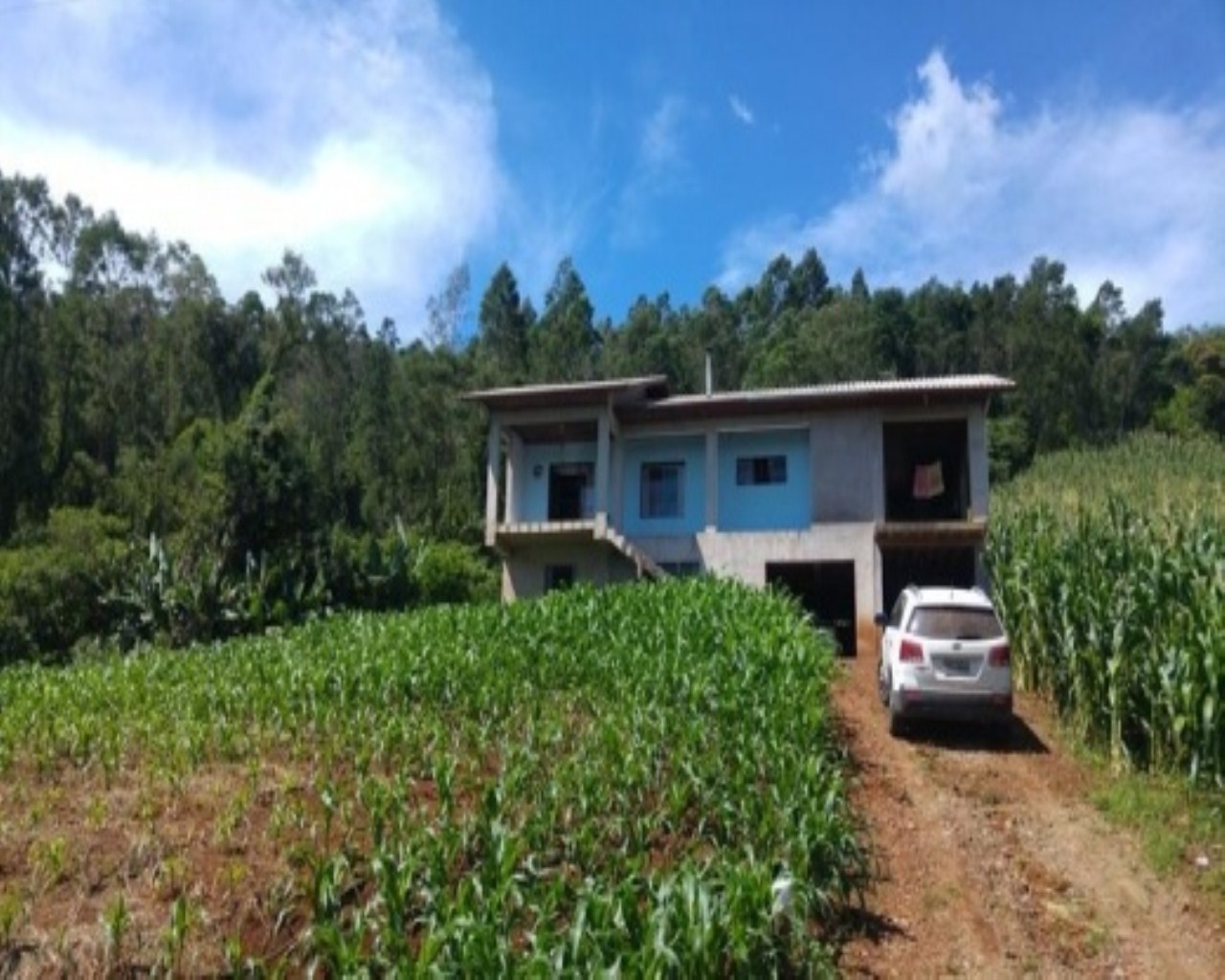 SITIO RURAL em Nova Petrópolis - RS, Santa Inês