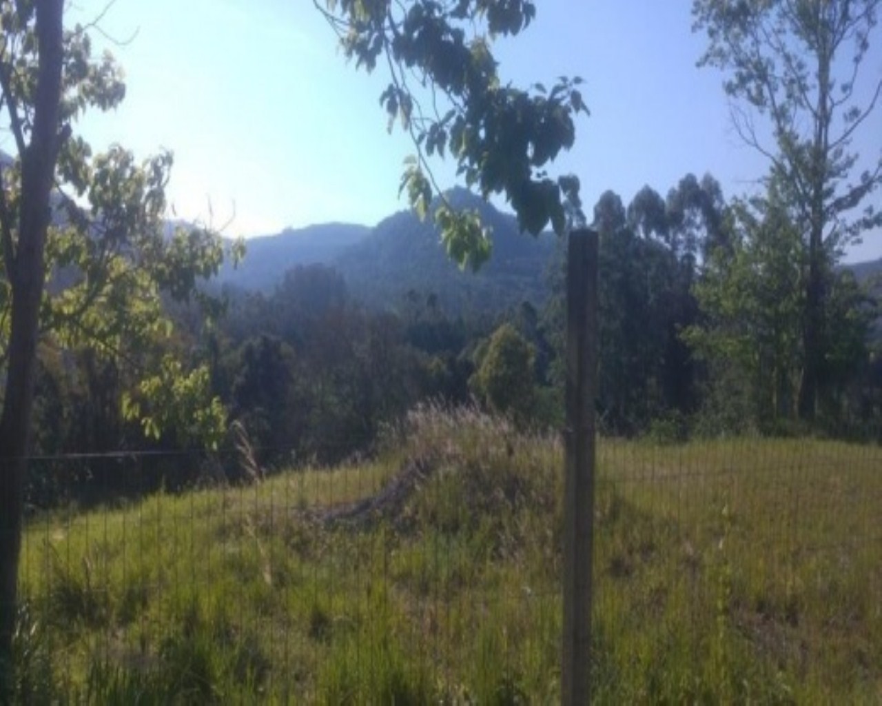 TERRENO RESIDENCIAL em Picada Café - RS, Lichthenthal