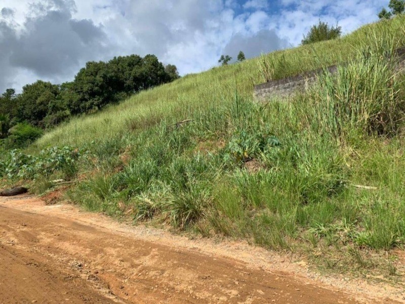 Loteamento e Condomínio à venda, 2000m² - Foto 2