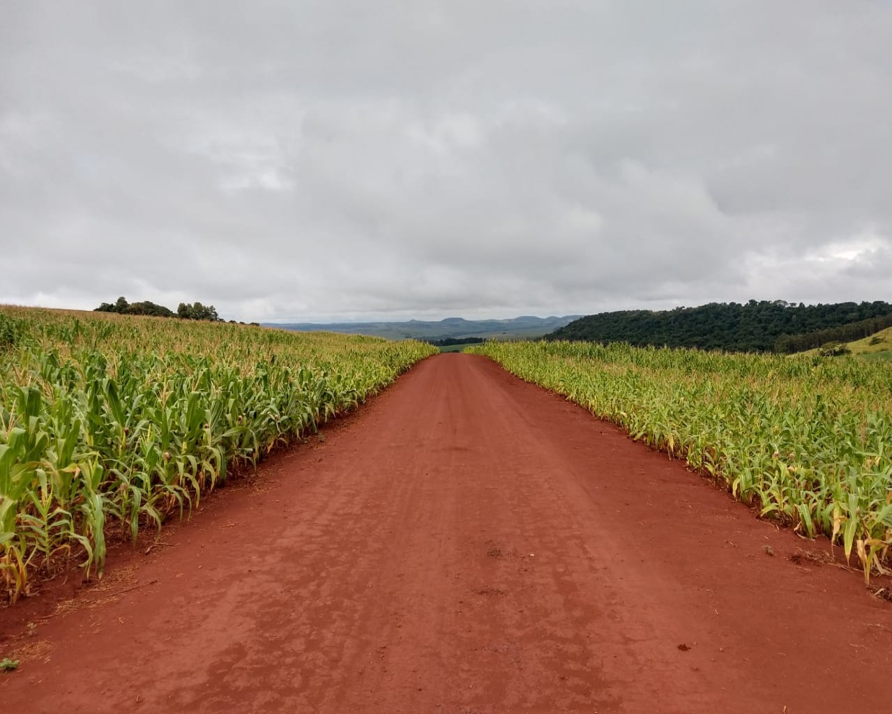 Fazenda à venda - Foto 1