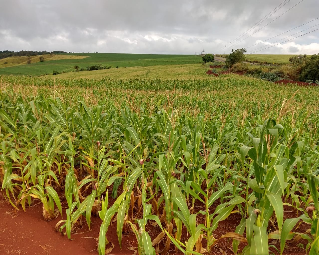 Fazenda à venda - Foto 2