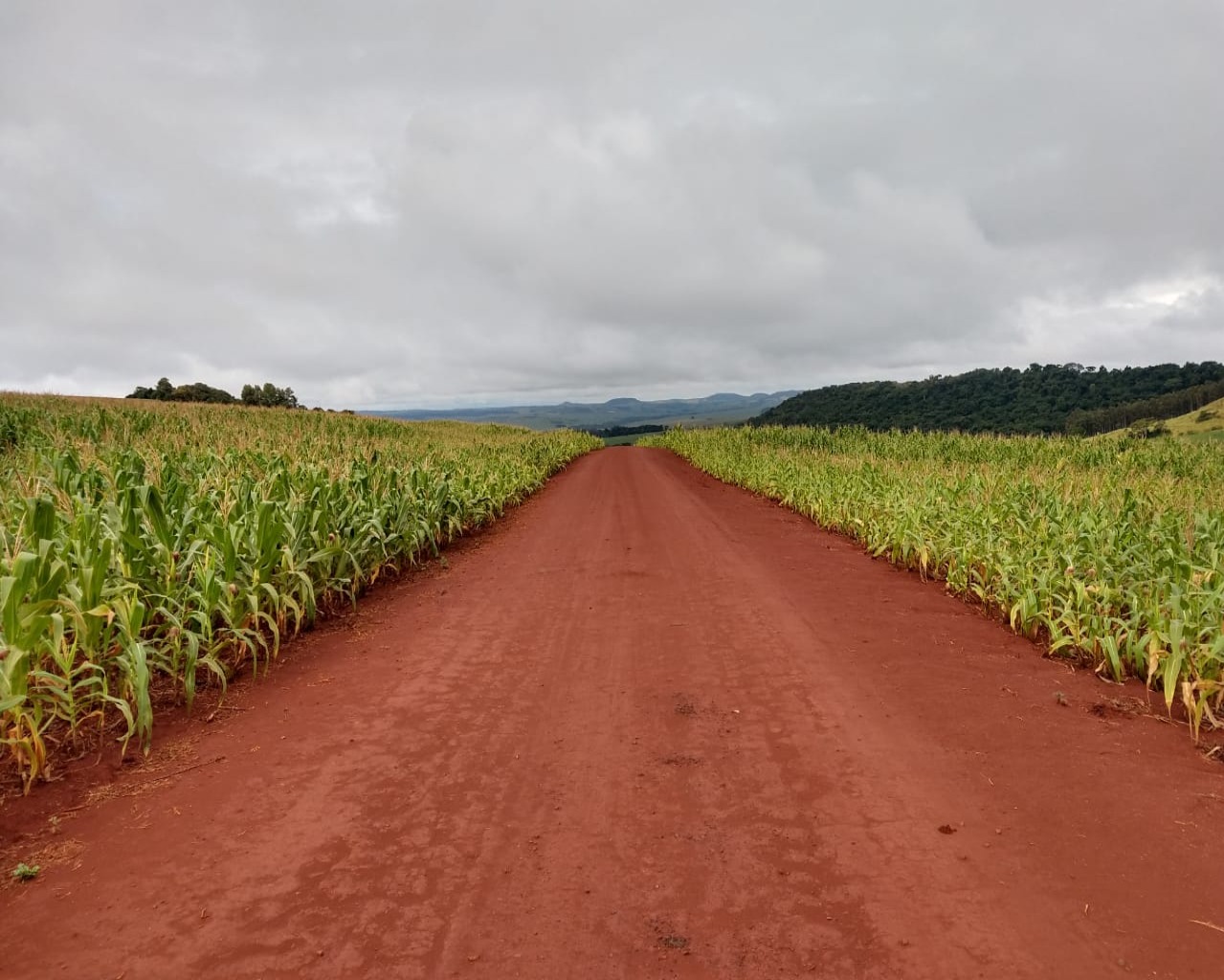 Fazenda à venda - Foto 5