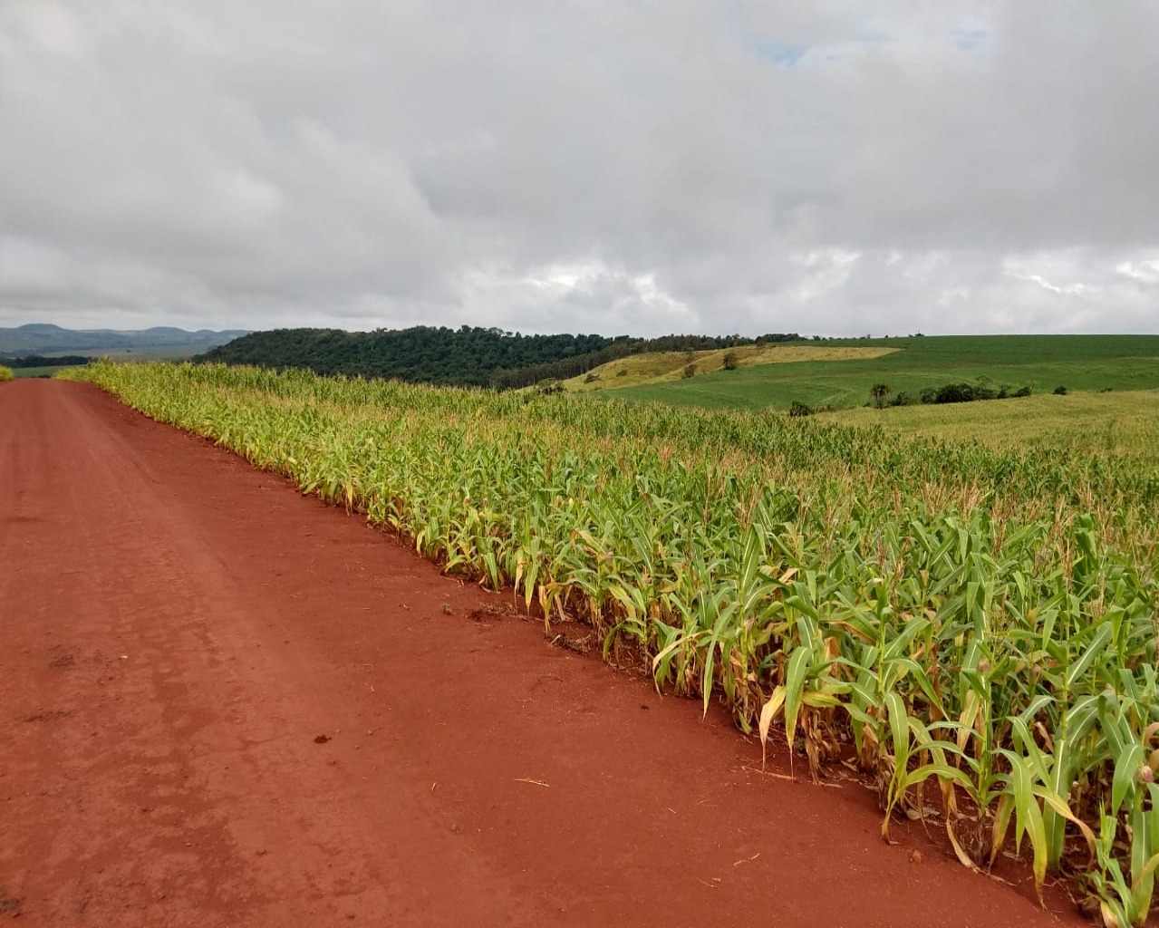 Fazenda à venda - Foto 6