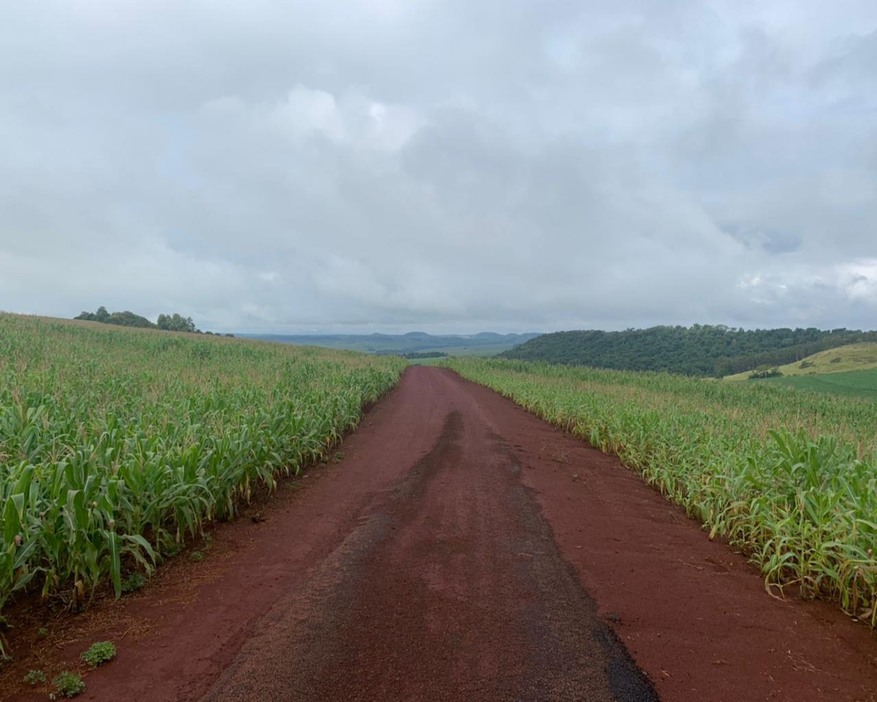 Fazenda à venda - Foto 7