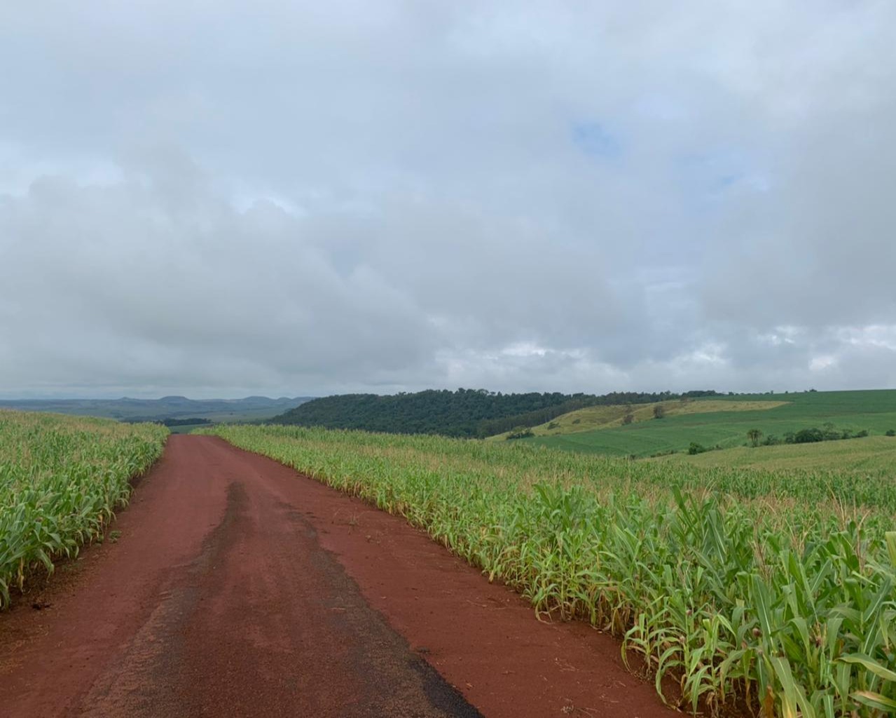 Fazenda à venda - Foto 8