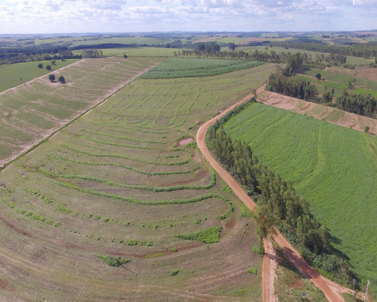 Fazenda à venda - Foto 5