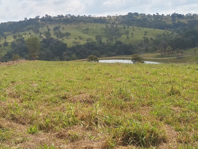 Chácara à venda, 20000m² - Foto 6