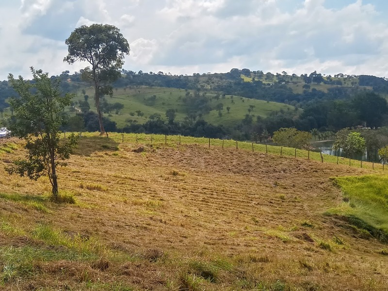 Chácara à venda, 20000m² - Foto 7