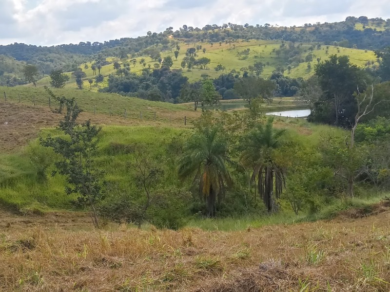 Chácara à venda, 20000m² - Foto 8