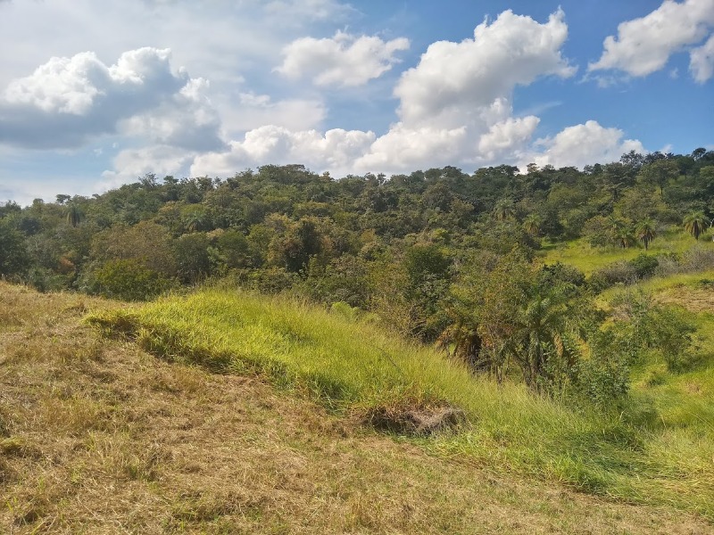 Chácara à venda, 20000m² - Foto 9