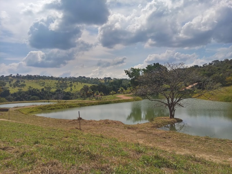 Chácara à venda, 20000m² - Foto 12