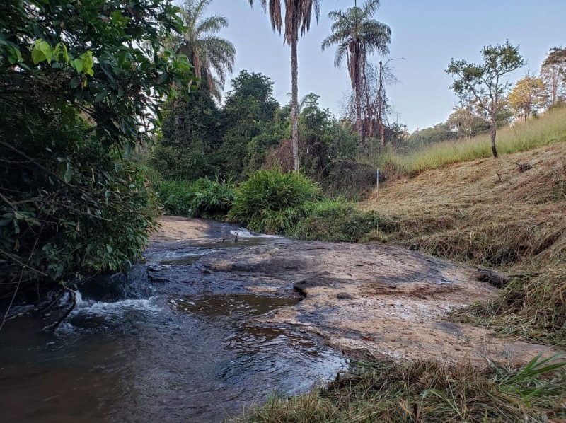 Chácara à venda, 20000m² - Foto 21