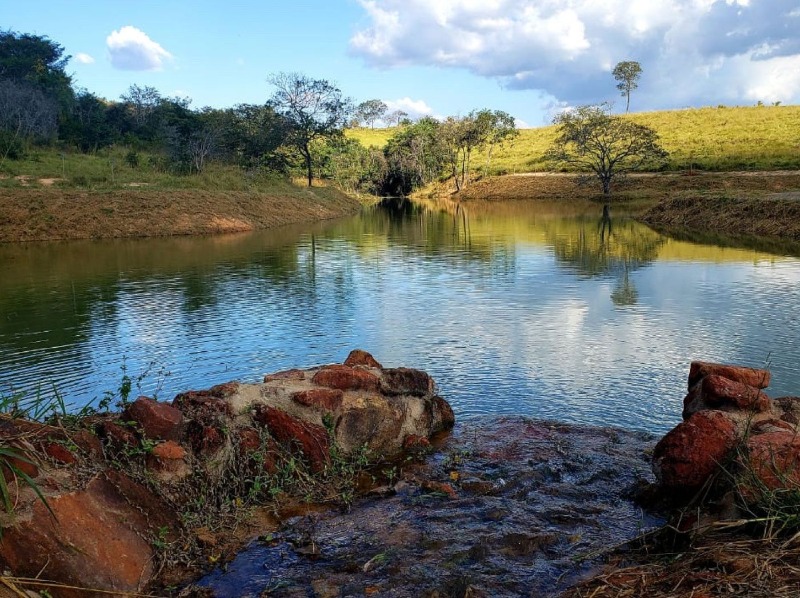 Chácara à venda, 20000m² - Foto 23