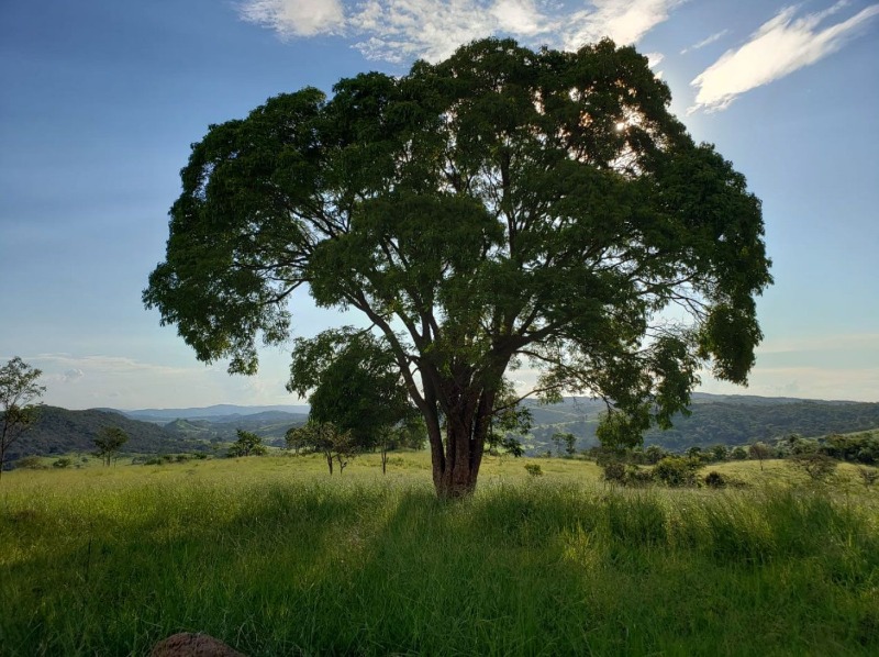 Chácara à venda, 20000m² - Foto 36