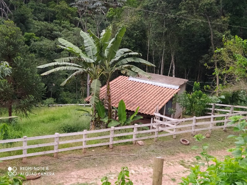 Fazenda à venda com 3 quartos, 26800m² - Foto 40