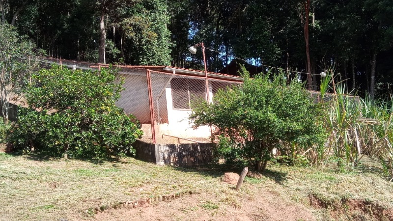 Fazenda à venda com 3 quartos, 26800m² - Foto 31