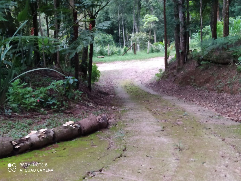 Fazenda à venda com 3 quartos, 26800m² - Foto 54