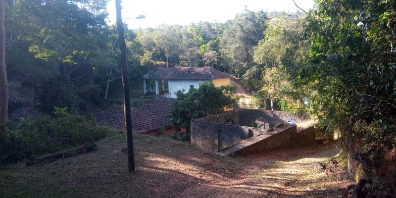 Fazenda à venda com 3 quartos, 26800m² - Foto 68