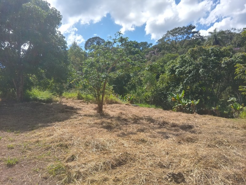 Fazenda à venda com 2 quartos, 9000m² - Foto 11