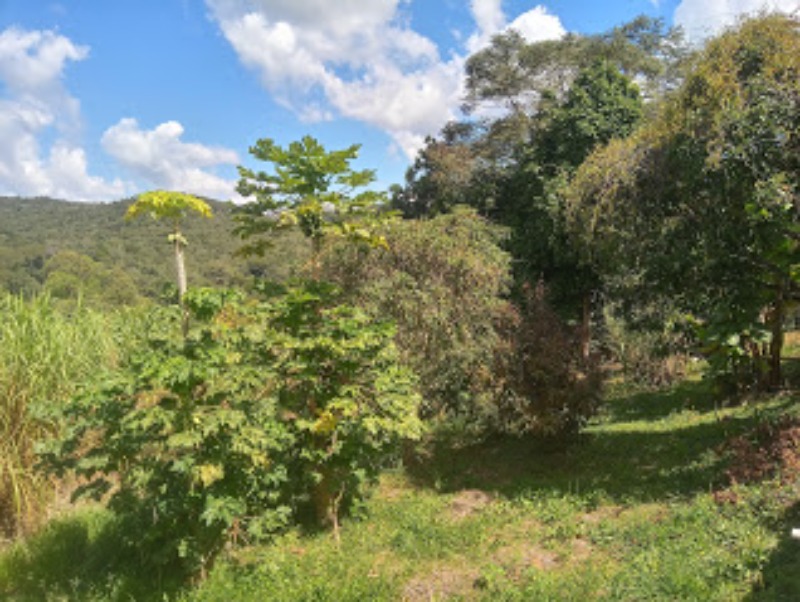 Fazenda à venda com 2 quartos, 9000m² - Foto 14