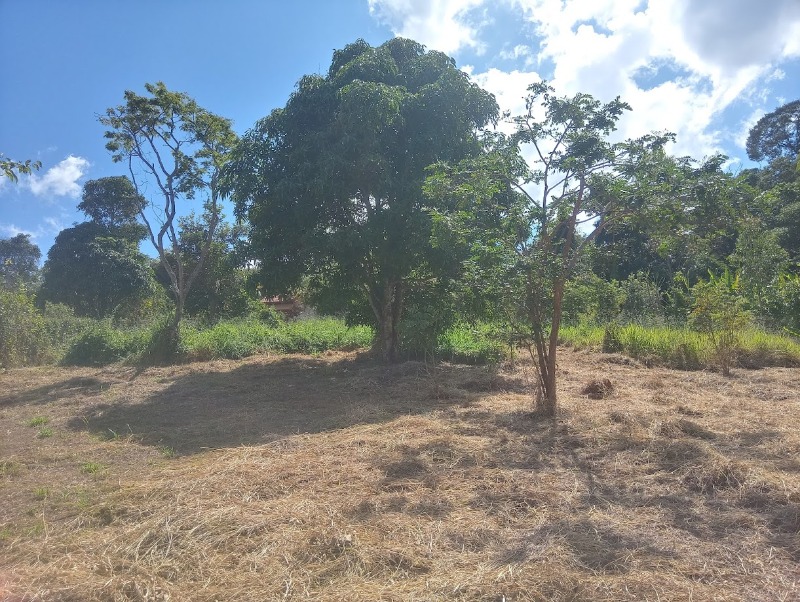 Fazenda à venda com 2 quartos, 9000m² - Foto 12