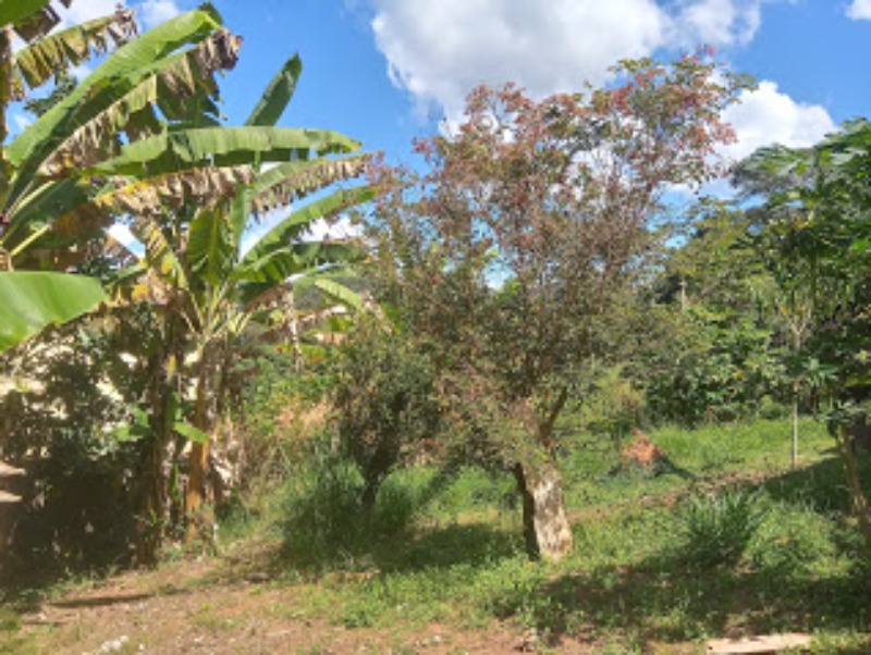 Fazenda à venda com 2 quartos, 9000m² - Foto 13