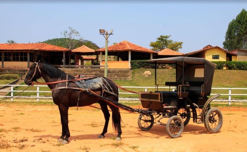 Chácara à venda, 20000m² - Foto 57