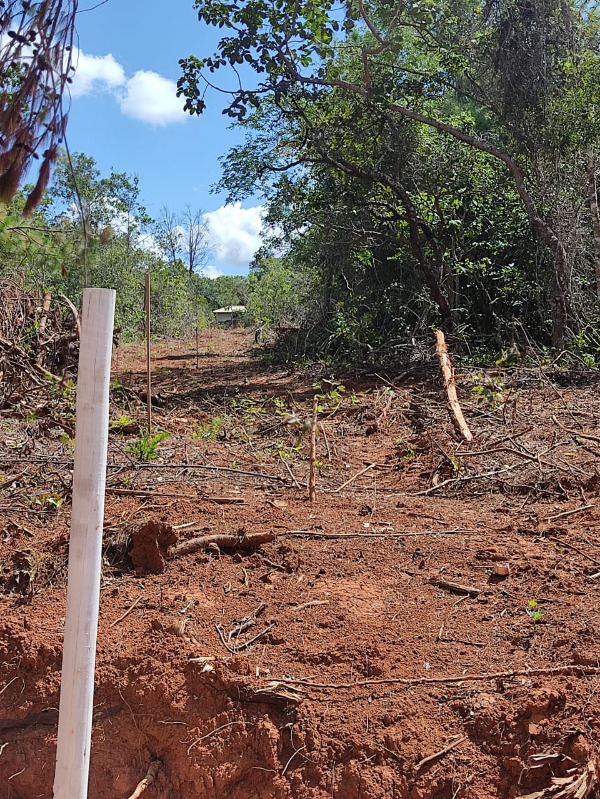 Chácara à venda, 20000m² - Foto 13