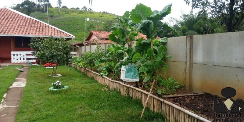 Fazenda à venda com 2 quartos, 600m² - Foto 4