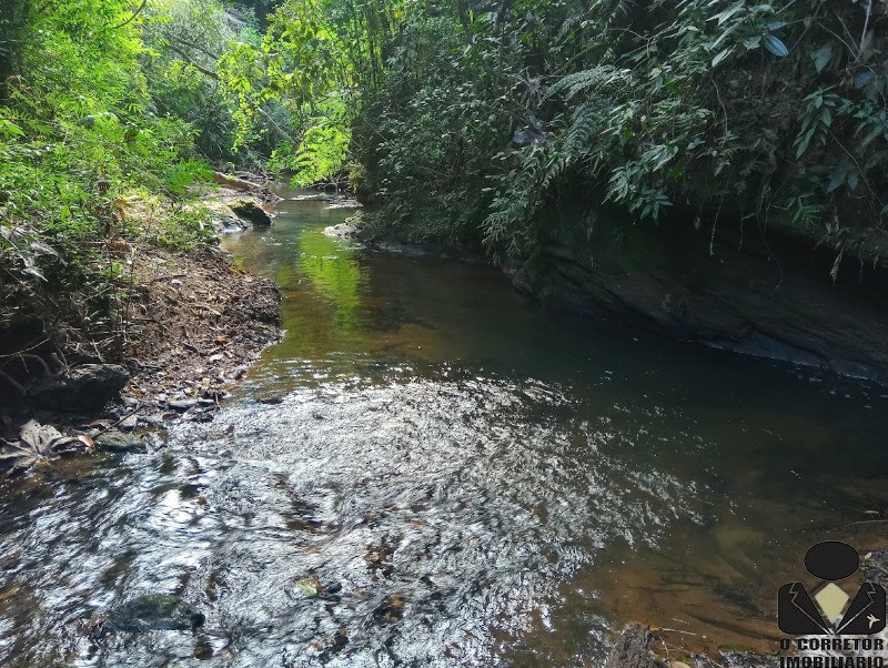 Fazenda à venda com 3 quartos, 17800m² - Foto 51