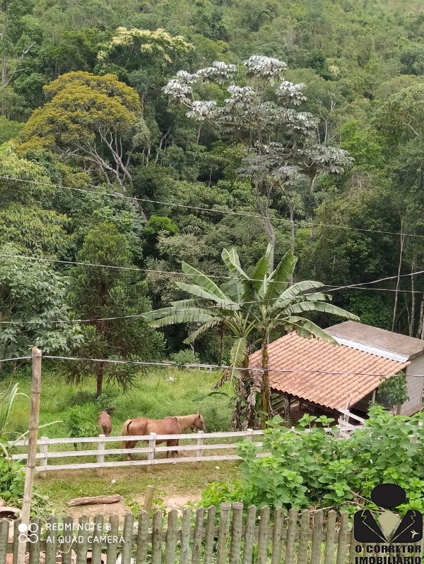 Fazenda à venda com 3 quartos, 17800m² - Foto 44