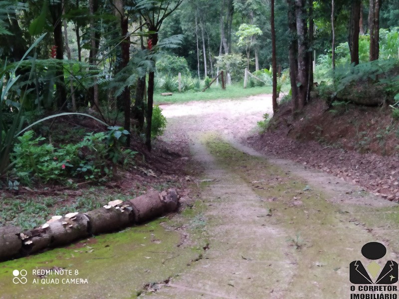 Fazenda à venda com 3 quartos, 17800m² - Foto 54