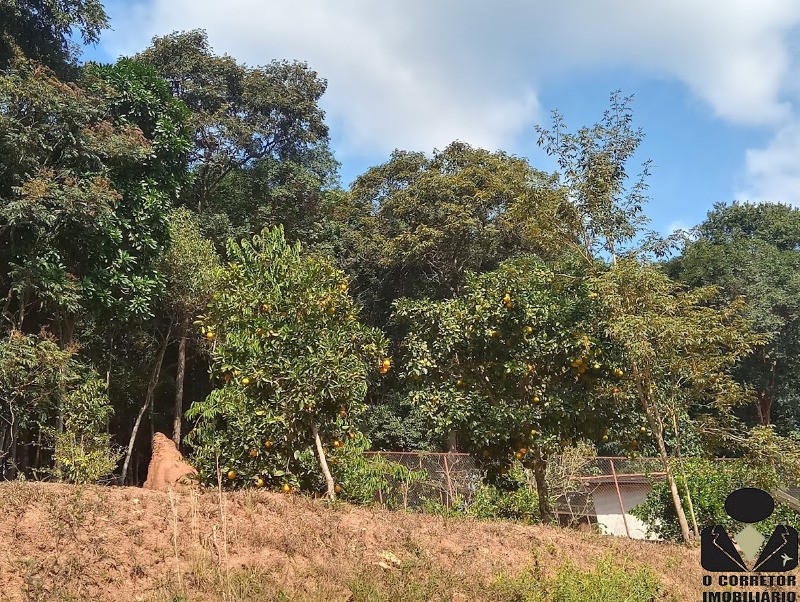 Fazenda à venda com 3 quartos, 17800m² - Foto 34