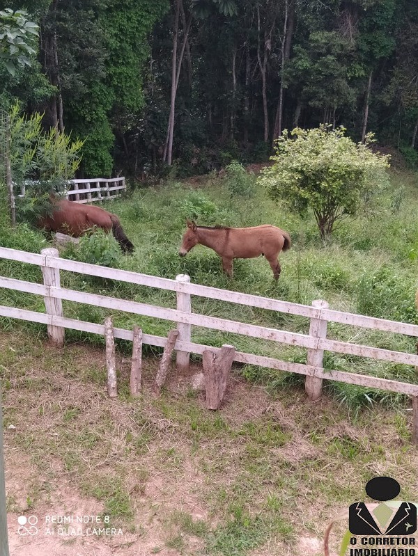 Fazenda à venda com 3 quartos, 17800m² - Foto 52