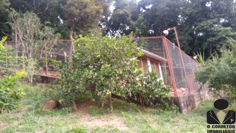 Fazenda à venda com 3 quartos, 17800m² - Foto 35