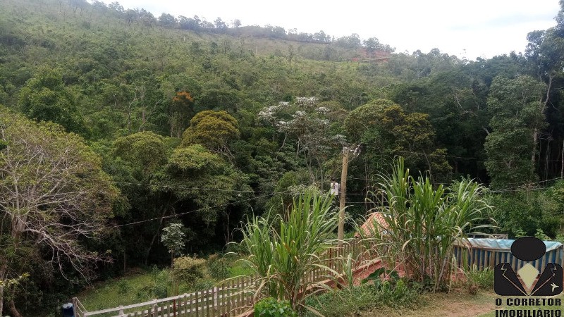 Fazenda à venda com 3 quartos, 17800m² - Foto 42