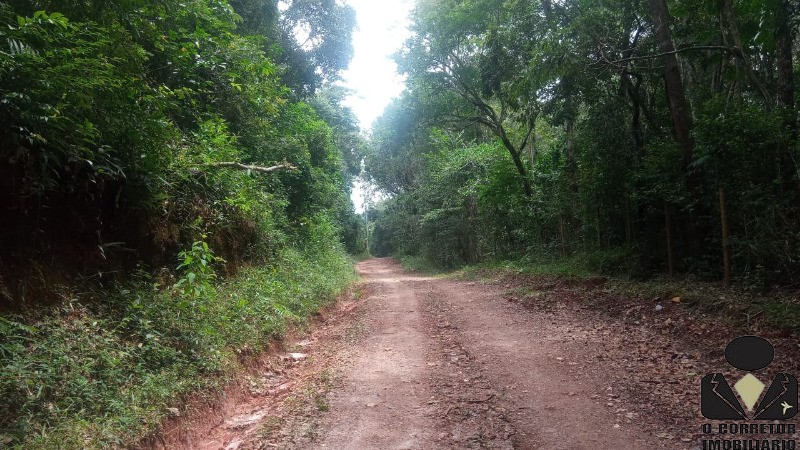 Fazenda à venda com 3 quartos, 17800m² - Foto 57