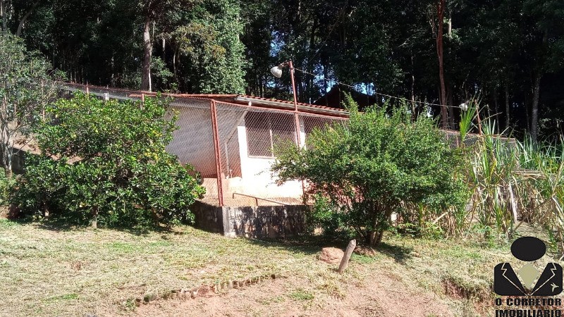 Fazenda à venda com 3 quartos, 17800m² - Foto 36