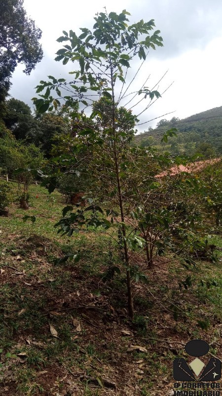 Fazenda à venda com 3 quartos, 17800m² - Foto 30