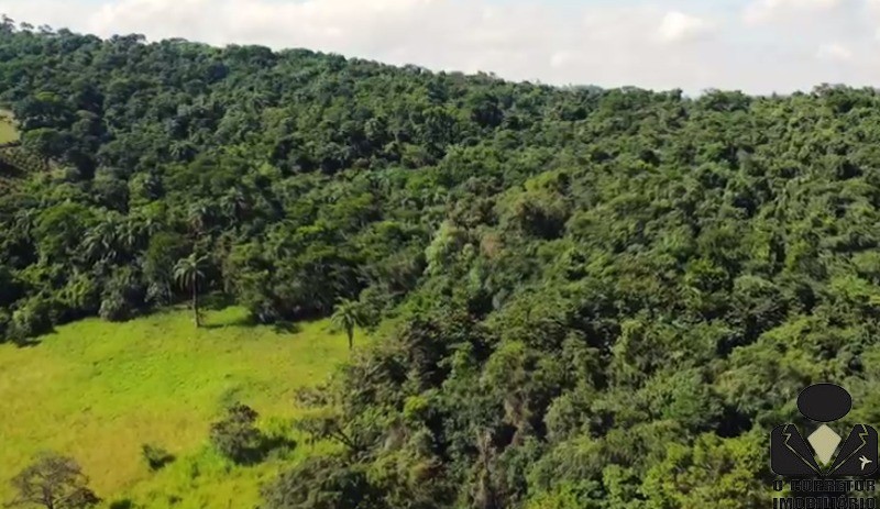 Chácara à venda, 20000m² - Foto 33