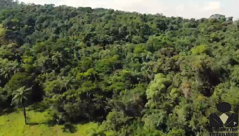 Chácara à venda, 20000m² - Foto 30